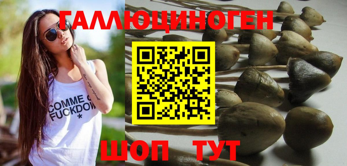 Псилоцибиновые грибы MAGIC MUSHROOMS  Псилоцибиновые грибы мицелий  Вход с VPN  Дербент 