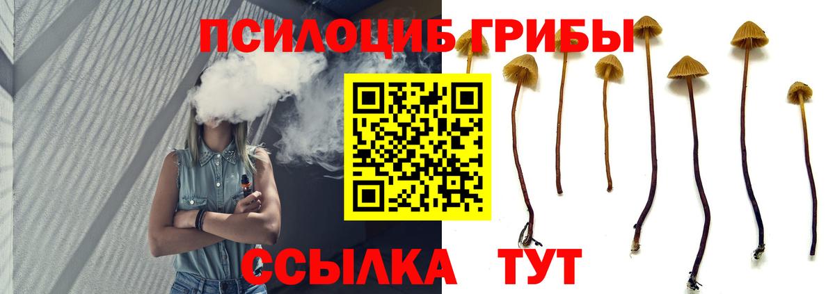 Псилоцибиновые грибы GOLDEN TEACHER Дербент